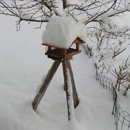 Fewo Talula - Sauerland Mit Hund Medebach Extérieur photo
