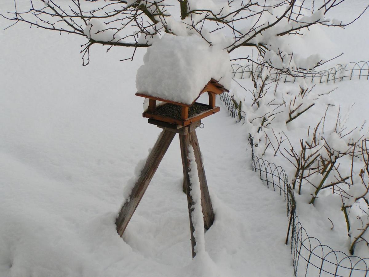 Fewo Talula - Sauerland Mit Hund Medebach Extérieur photo
