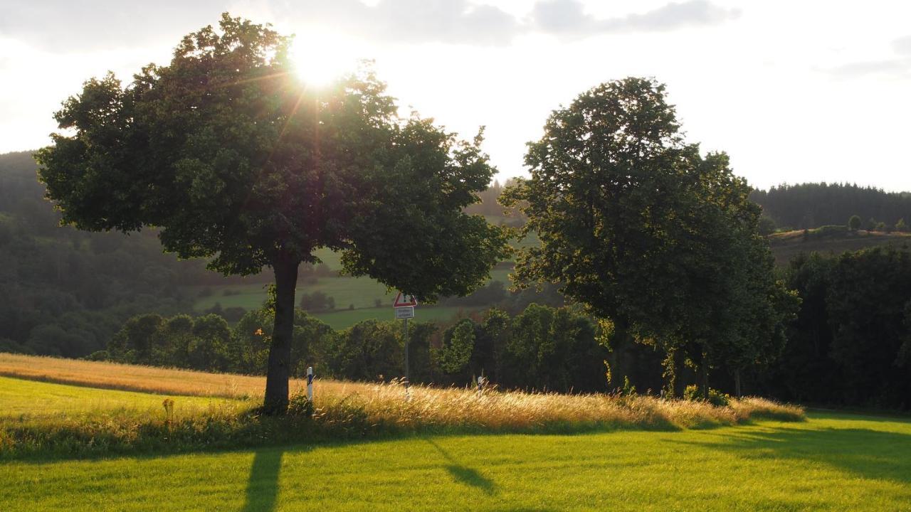 Fewo Talula - Sauerland Mit Hund Medebach Extérieur photo