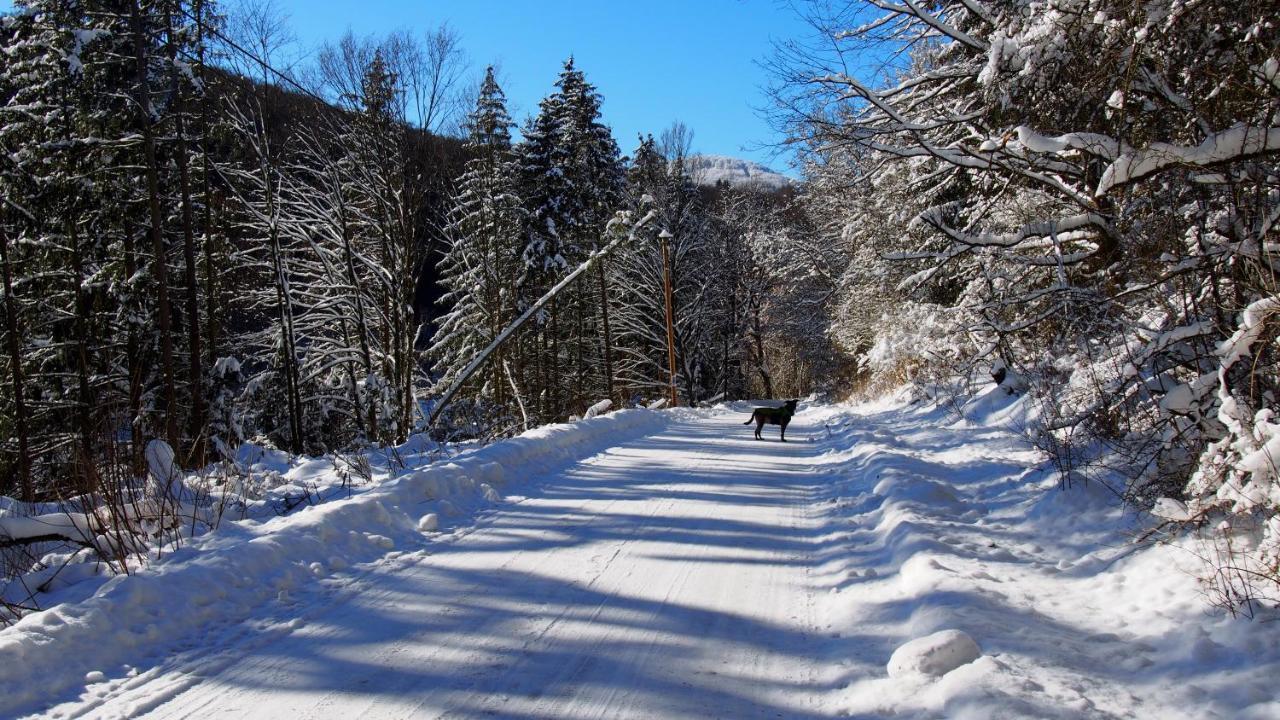 Fewo Talula - Sauerland Mit Hund Medebach Extérieur photo