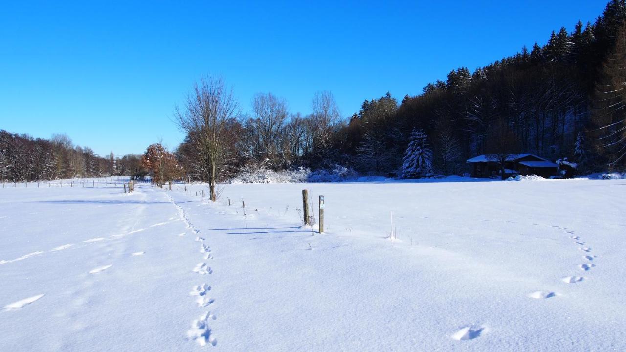 Fewo Talula - Sauerland Mit Hund Medebach Extérieur photo