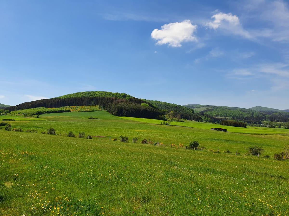 Fewo Talula - Sauerland Mit Hund Medebach Extérieur photo