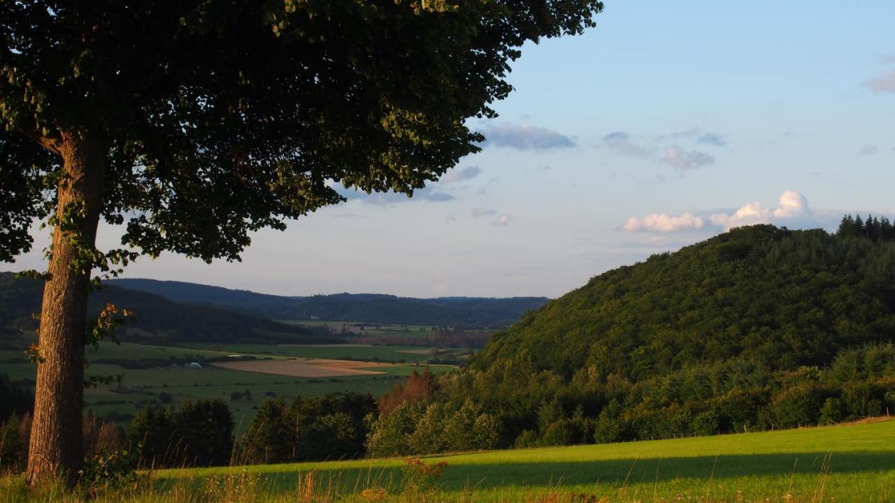 Fewo Talula - Sauerland Mit Hund Medebach Extérieur photo