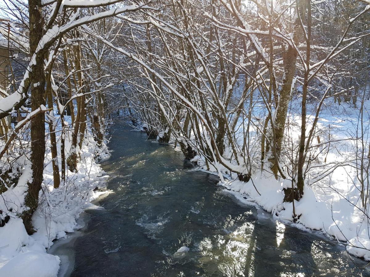 Fewo Talula - Sauerland Mit Hund Medebach Extérieur photo