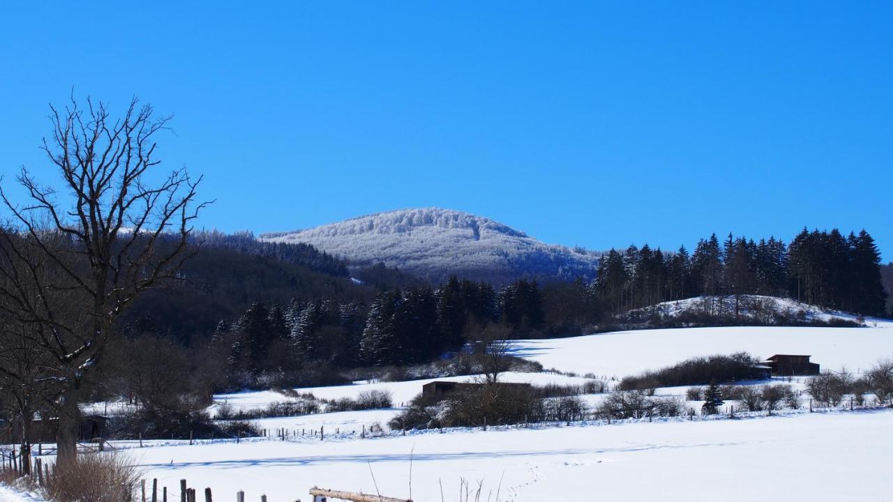 Fewo Talula - Sauerland Mit Hund Medebach Extérieur photo