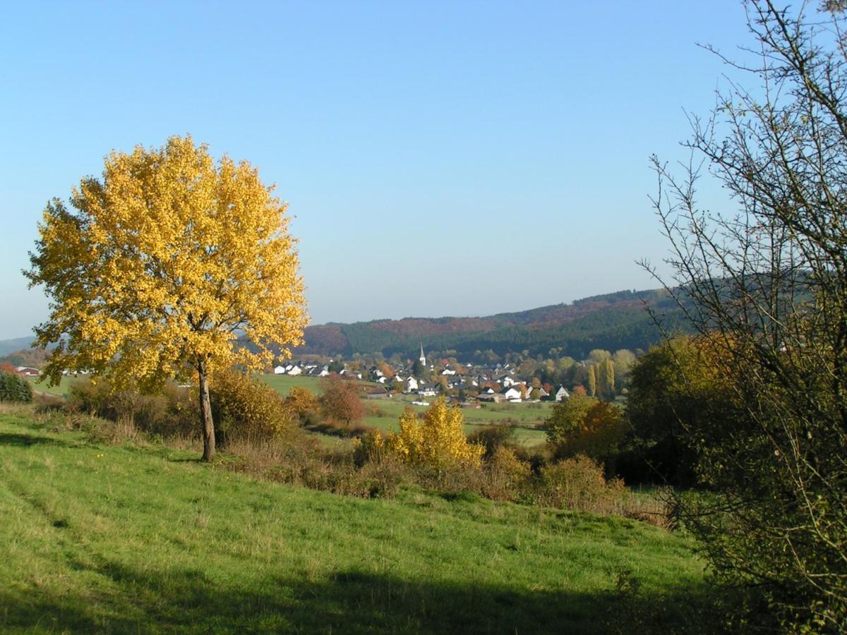 Fewo Talula - Sauerland Mit Hund Medebach Extérieur photo