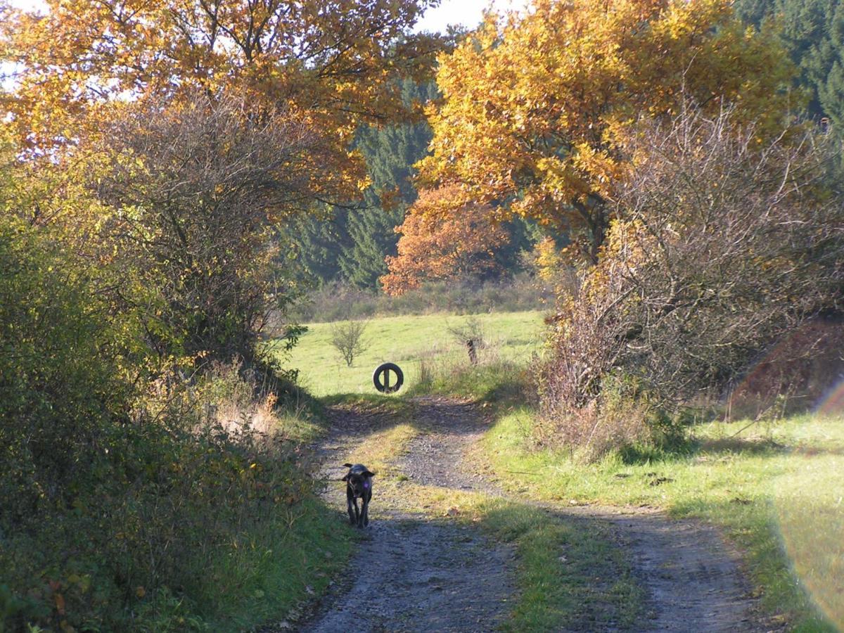 Fewo Talula - Sauerland Mit Hund Medebach Extérieur photo